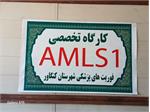 کارگاه تخصصی AMLS 1 فوریت‌های پزشکی شبکه بهداشت و درمان شهرستان کنگاوربرگزاری کارگاه آموزشی AMLS 1 به میزبانی فوریت‌های پزشکی