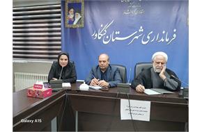 نشست کادر بهداشت و درمان شهرستان کنگاور با نماینده مردم در مجلس شورای اسلامی برگزار شد