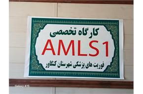 کارگاه تخصصی AMLS 1 فوریت‌های پزشکی شبکه بهداشت و درمان شهرستان کنگاوربرگزاری کارگاه آموزشی AMLS 1 به میزبانی فوریت‌های پزشکی شبکه بهداشت و درمان شهرستان کنگاور